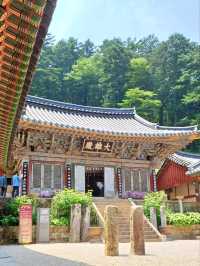 🌿 주말 가족 나들이에 딱! 고성 연화산 옥천사