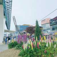 바다가 보이는 놀이공원 월미도🎡
