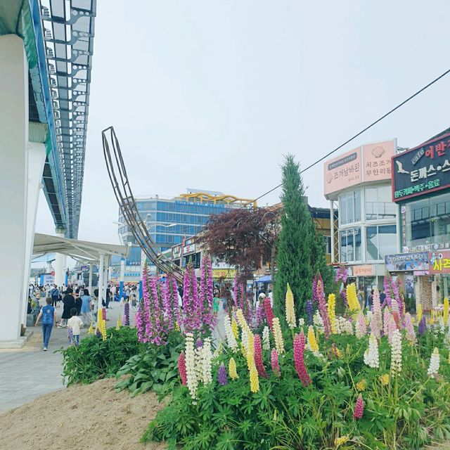 바다가 보이는 놀이공원 월미도🎡