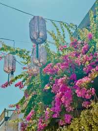베트남에서 가장 아름다운 이 곳🌸🇻🇳꼭 방문해보세요