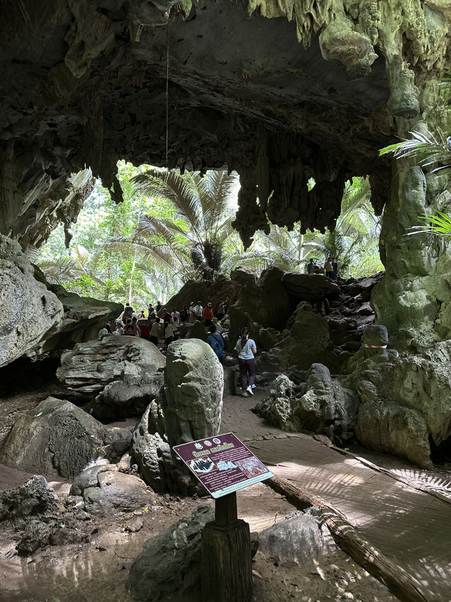 ⛰️ หุบป่าตาด ป่าดึกดำบรรพ์เมืองไทย