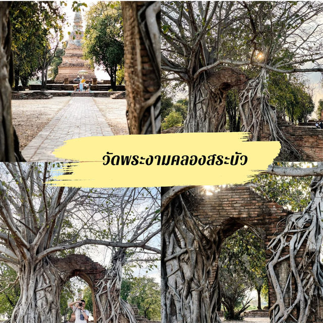 แจกแพลนเที่ยวอยุธยาวันเดียว