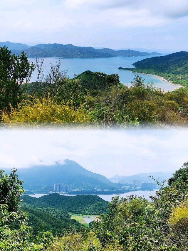少眾景美雞麻峒
