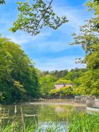 일본가서 꼭 공원을 가는 이유🌿🍀