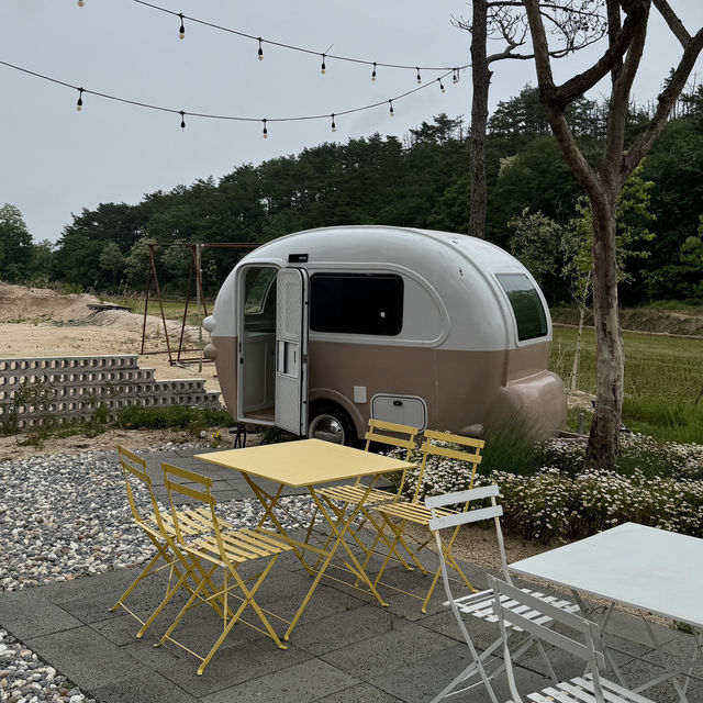 정원이 예쁜 속초 브런치 카페 심플레이스