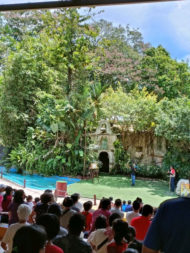 Where Wild Encounters & Thrilling Shows Await! 🦒🦜