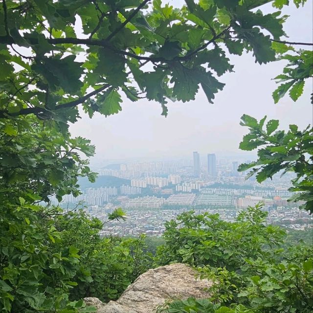 Sweaty, Scenic, and So Worth It