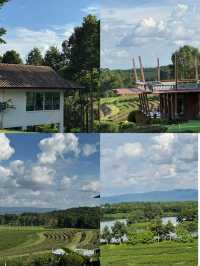 Singha Park, Chiangrai
