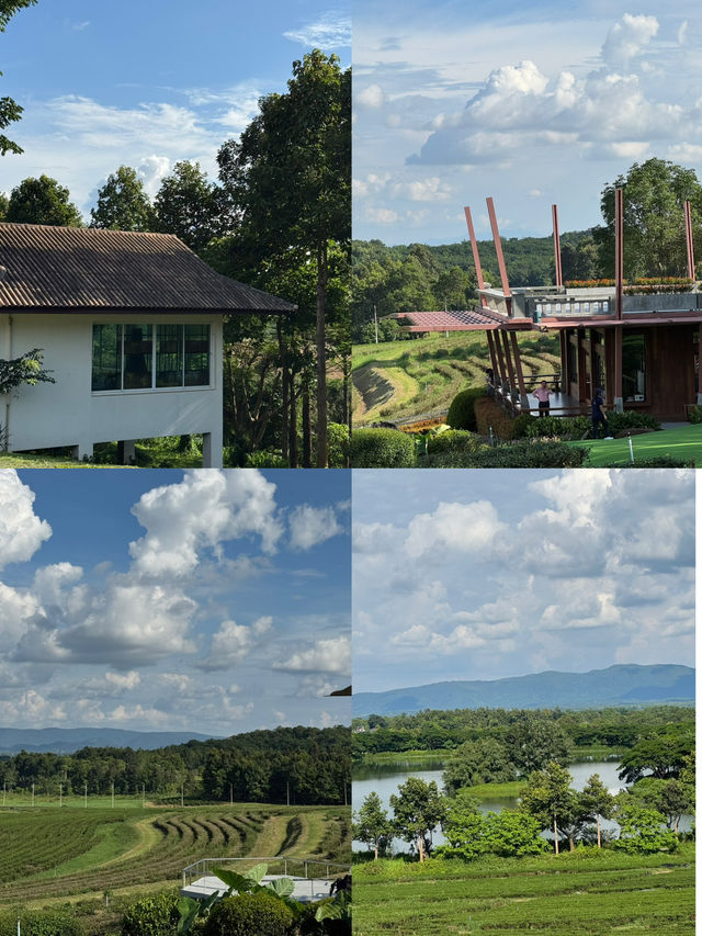 Singha Park, Chiangrai