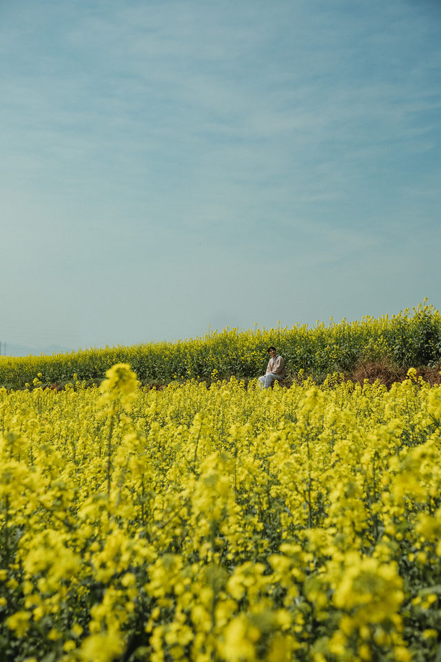 LUOPING IN SPRING 2025