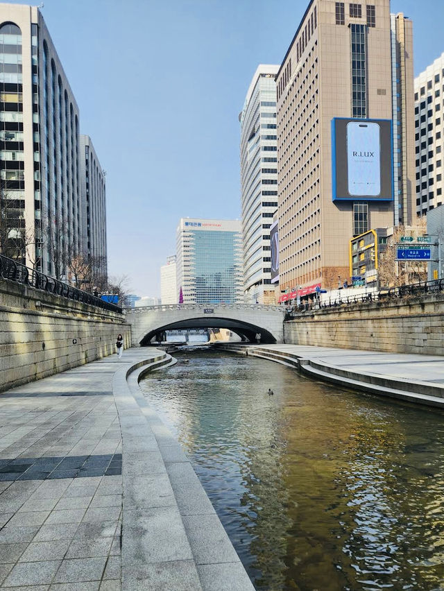 A beautiful river in Cheonggyecheon