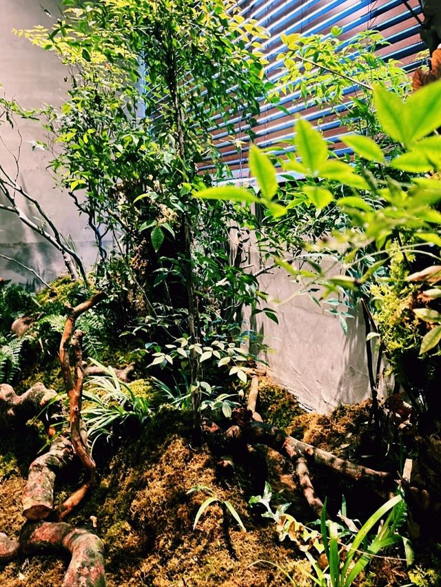 台北溫泉SPA會館推薦：台北森SPA足體養生館