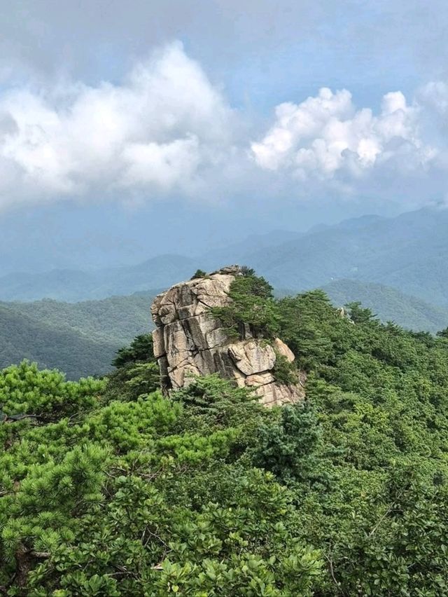 Forest Feels and a Breezy Summit