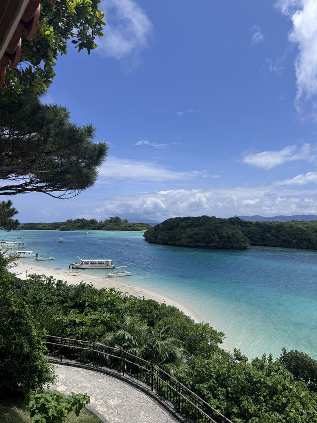 年3回石垣島✨️1泊2日プラン