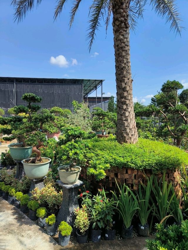 Hidden Green Spot in the City – Budget-Friendly Escape in Hong Kong