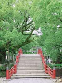 【福岡】梅雨の期間限定の絶景！
