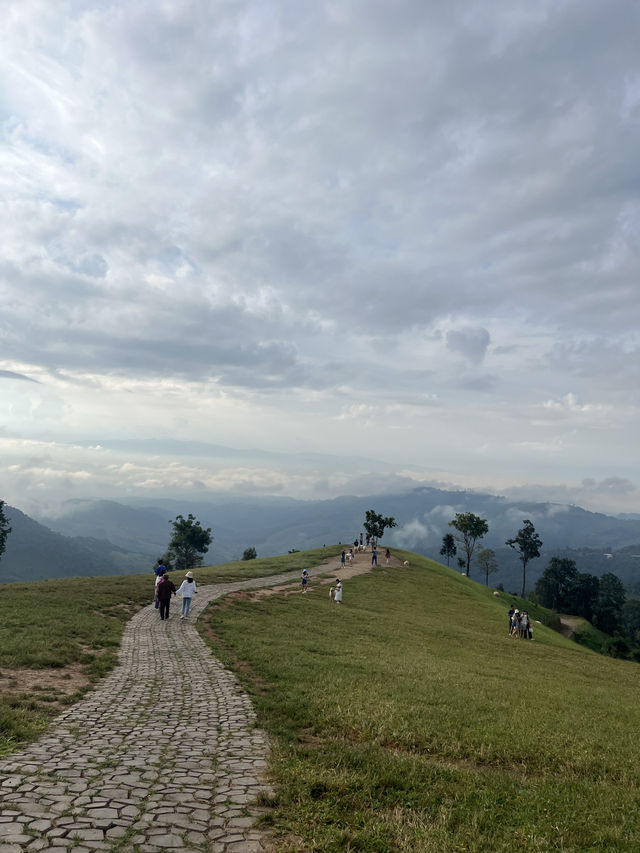 อาข่าฟาร์ม ดอยช้าง 🐑⛰️