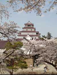 🏯【福島・会津若松】鶴ヶ城｜白壁が美しい“会津のシンボル”で歴史ロマンに浸る 