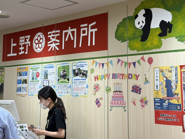 【🇯🇵上野】パンダグッズ約200種類以上のお店🐼&上野に行くならここ寄って！ 🩷
