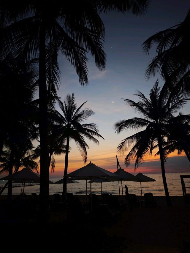 Island Dreams Unleashed: Beaches, Sea and Tropical Vibes🏝️✨
