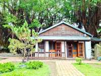 Anping Tree House ประวัติศาสตร์กับธรรมชาติ✨️