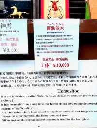 Unravelling the sacred animals inside the Toshogu Shrine