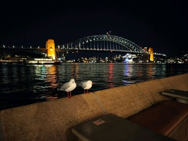 VIVID SYDNEY 