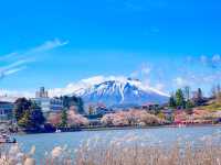สวนทะคะมัตสึ (Takamatsu Pond Park / 高松の池) 