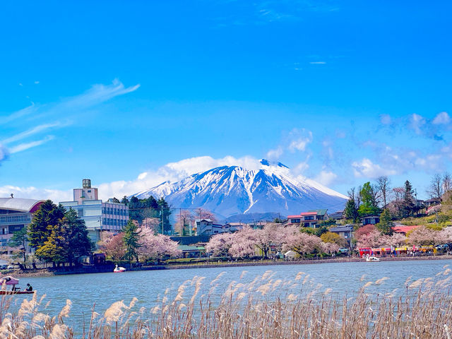 สวนทะคะมัตสึ (Takamatsu Pond Park / 高松の池) 