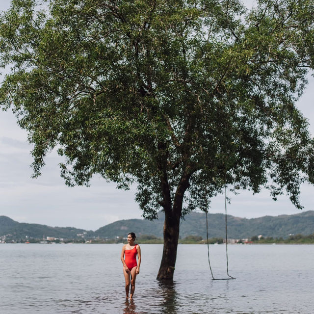 The Mangrove by Blu Monkey 