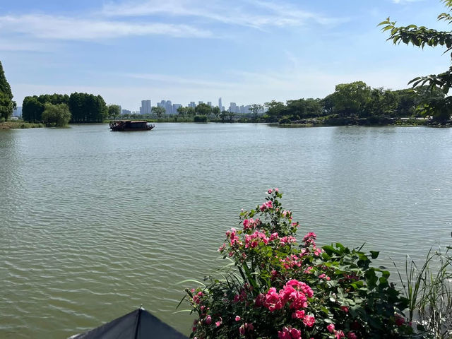 🌿 Yuantouzhu 鼋头渚 — A Peaceful Summer Escape by Taihu Lake