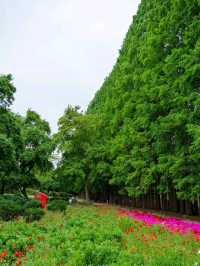 A Sweet Little Escape at Agape Garden