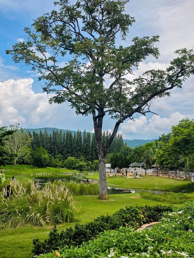 Bucolic Khaoyai