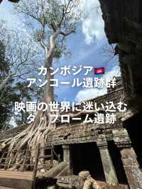【映画の世界に迷い込む】タ・プローム遺跡で体感する神秘の時間🎬