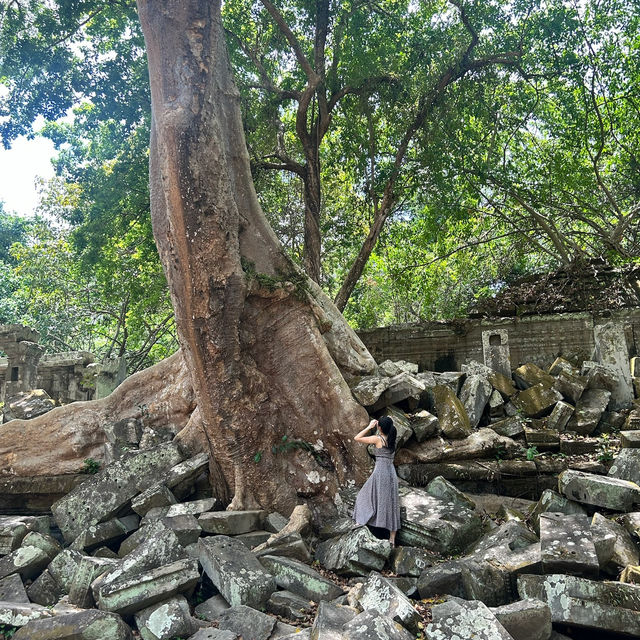 【ラピュタの世界🪐】ベンメリア遺跡で出会った崩れゆく美しさ🌿 