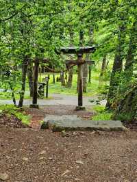 森林裡老神社記憶〔立保神社〕的重生與守護⛩️