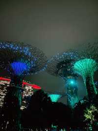 OCBC Skyway at Gardens by the Bay – A Must-Visit Nighttime Spectacle in Singapore
