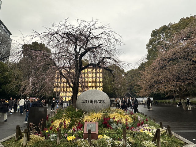 🔥「東京初見櫻花大爆發！穿越歷史畫卷的上野恩賜花園」