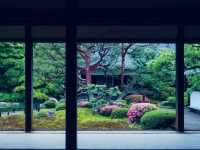 京都🇯🇵青蓮院