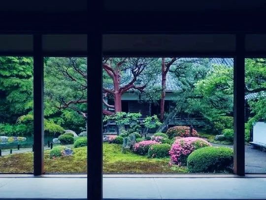 京都🇯🇵青蓮院