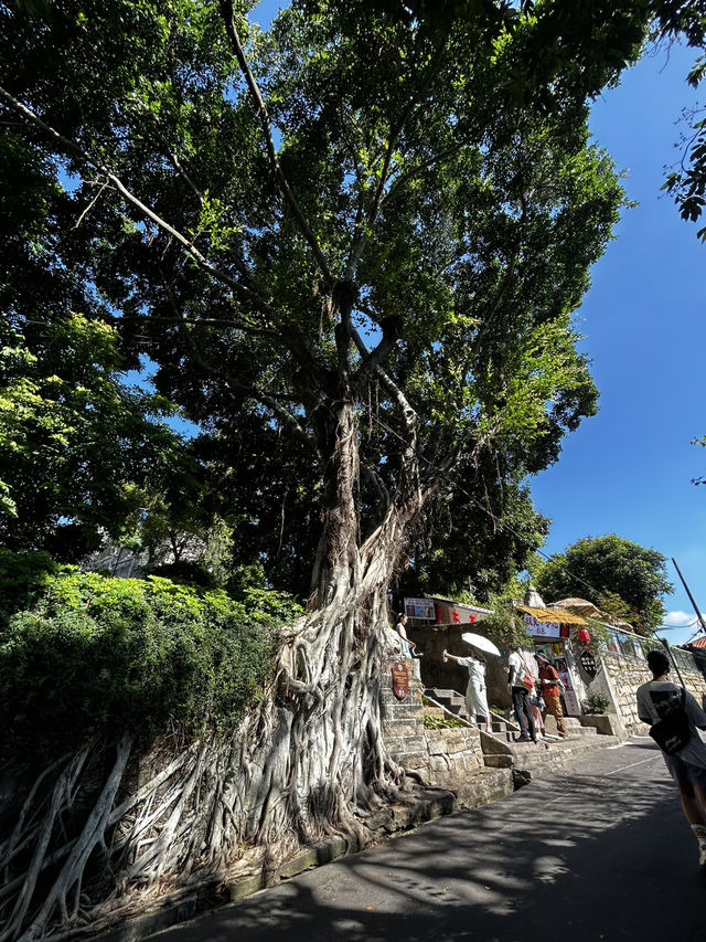 ⛩️ Sanhe Temple Secrets: Gulangyu’s Hidden Taoist Haven by the Sea!