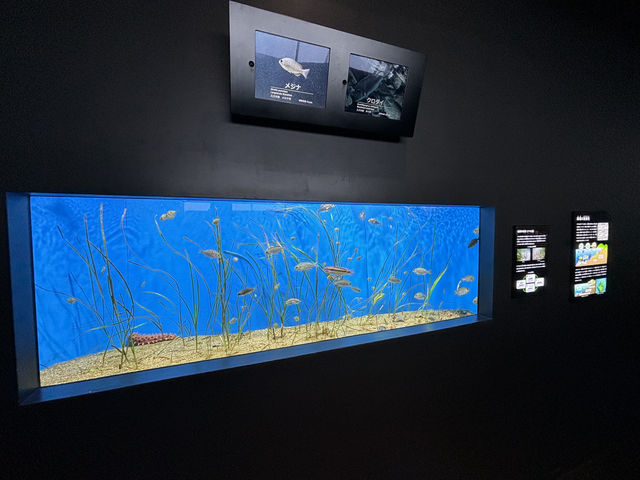上越市立水族博物館（色調非常漂亮）