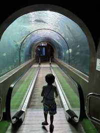 Phuket Aquarium 
