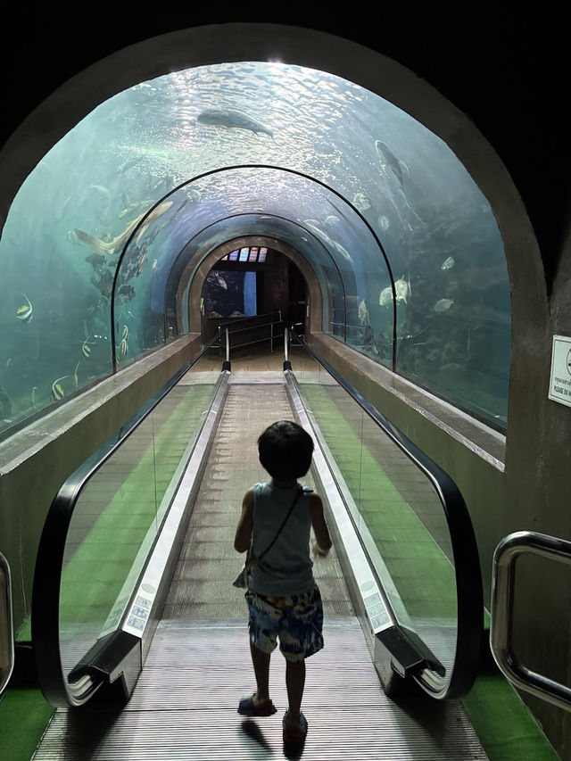 Phuket Aquarium 