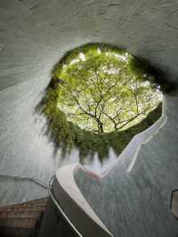 Fort Canning Park สิงคโปร์ 🌿 เดินเล่นชิลๆ ถ่ายรูป