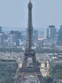 Paris from the Clouds: Montparnasse Magic