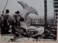🏯 Timeless Beauty and Family Fun at Nagoya Castle