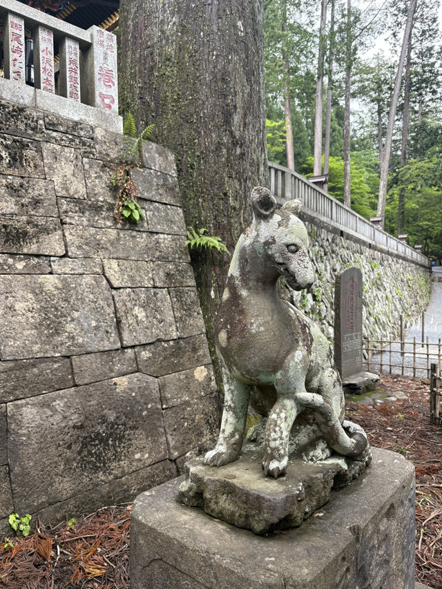 【埼玉⛰️】関東最強のパワースポット三峯神社で登山🧗