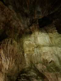 Singapore’s New Jungle Adventure: Caves, Climbs & Wild Thrills Await! 🧗🌿🇸🇬