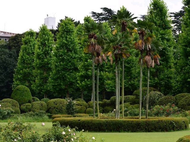 Shinjuku Gyoen National Garden